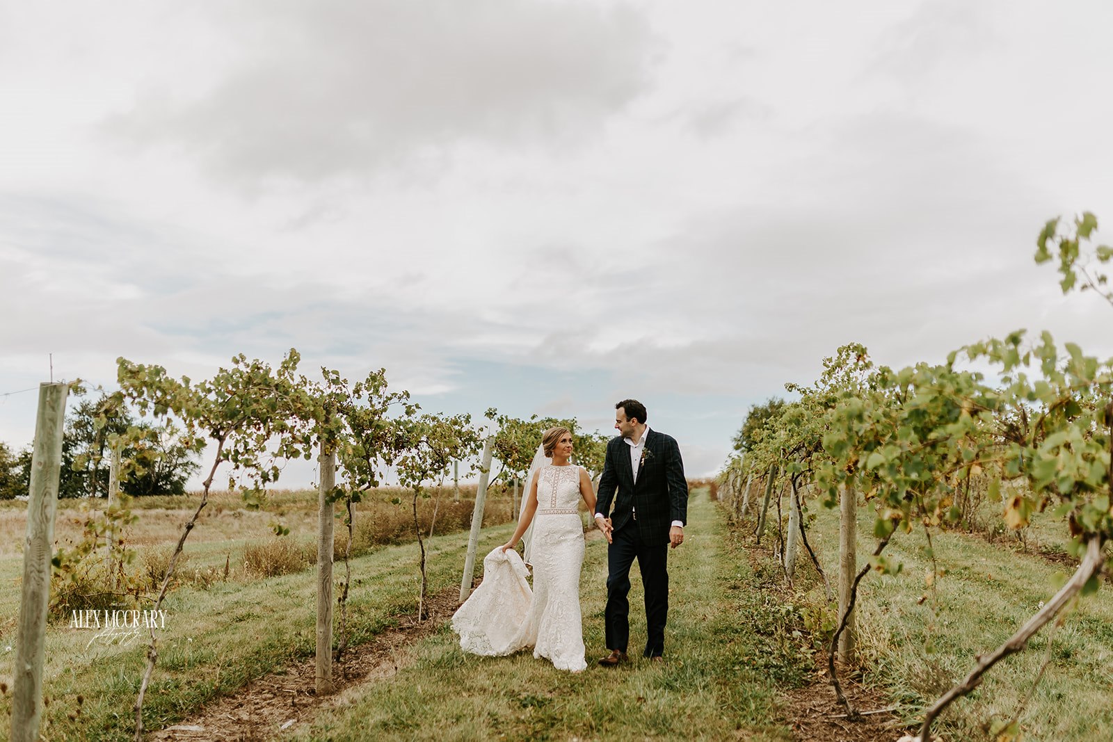 bride and groom walking through winery vineyard on wedding day